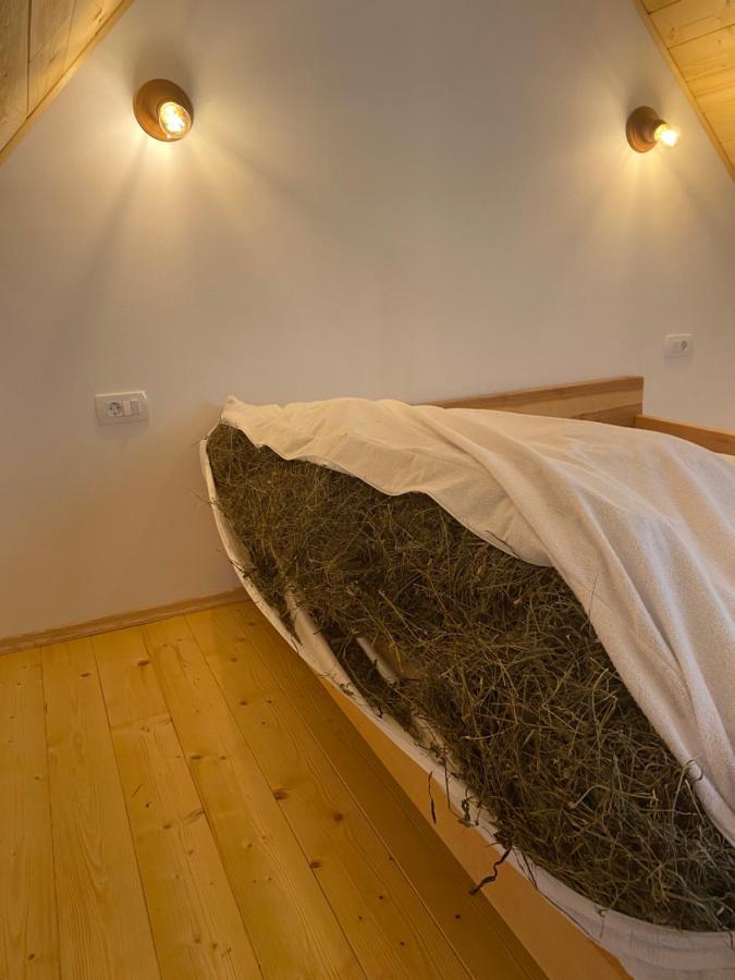 トレンタOrganic Tourist Farm Pri Plajerjuアパートメント エクステリア 写真