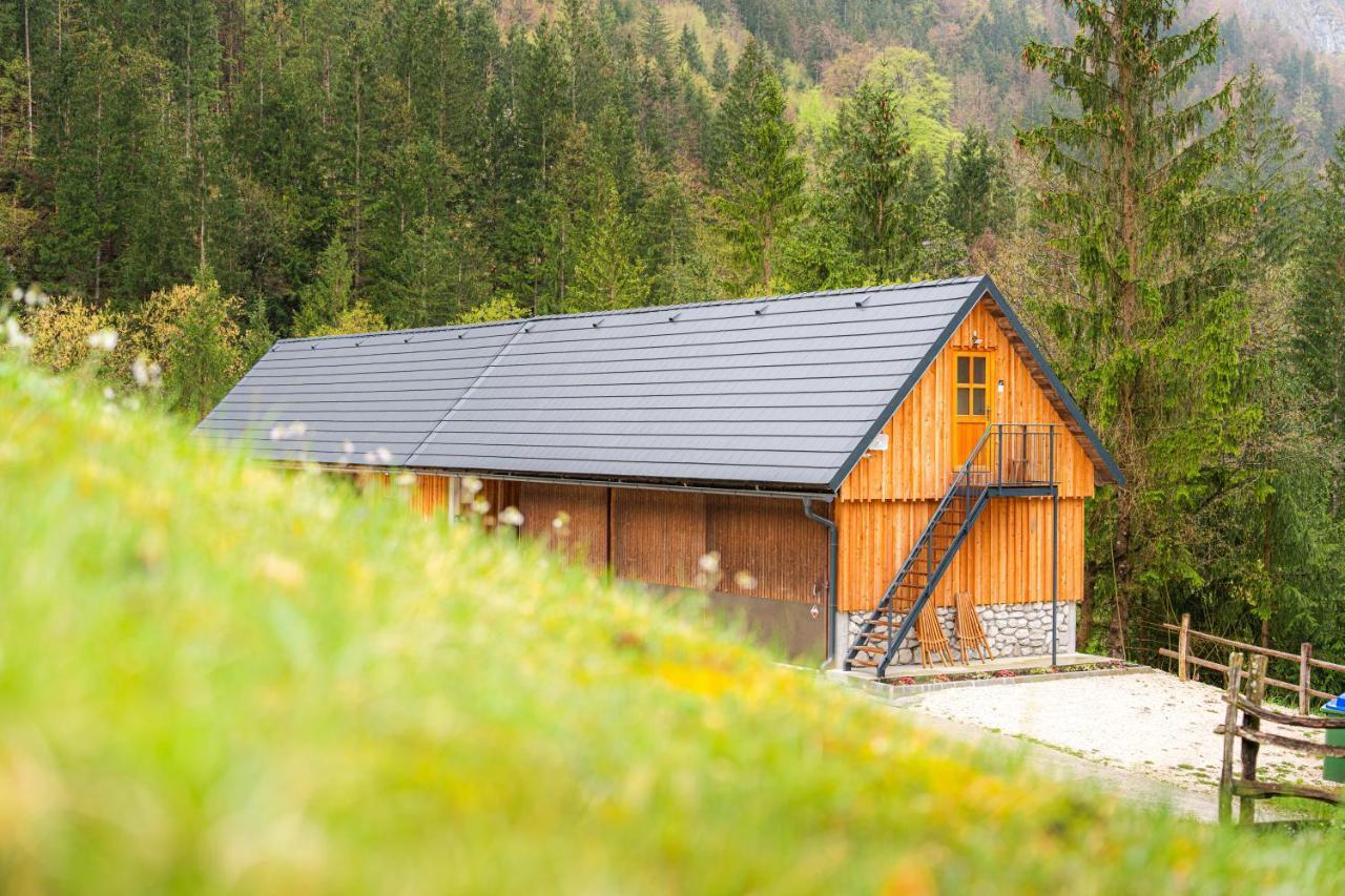 トレンタOrganic Tourist Farm Pri Plajerjuアパートメント エクステリア 写真